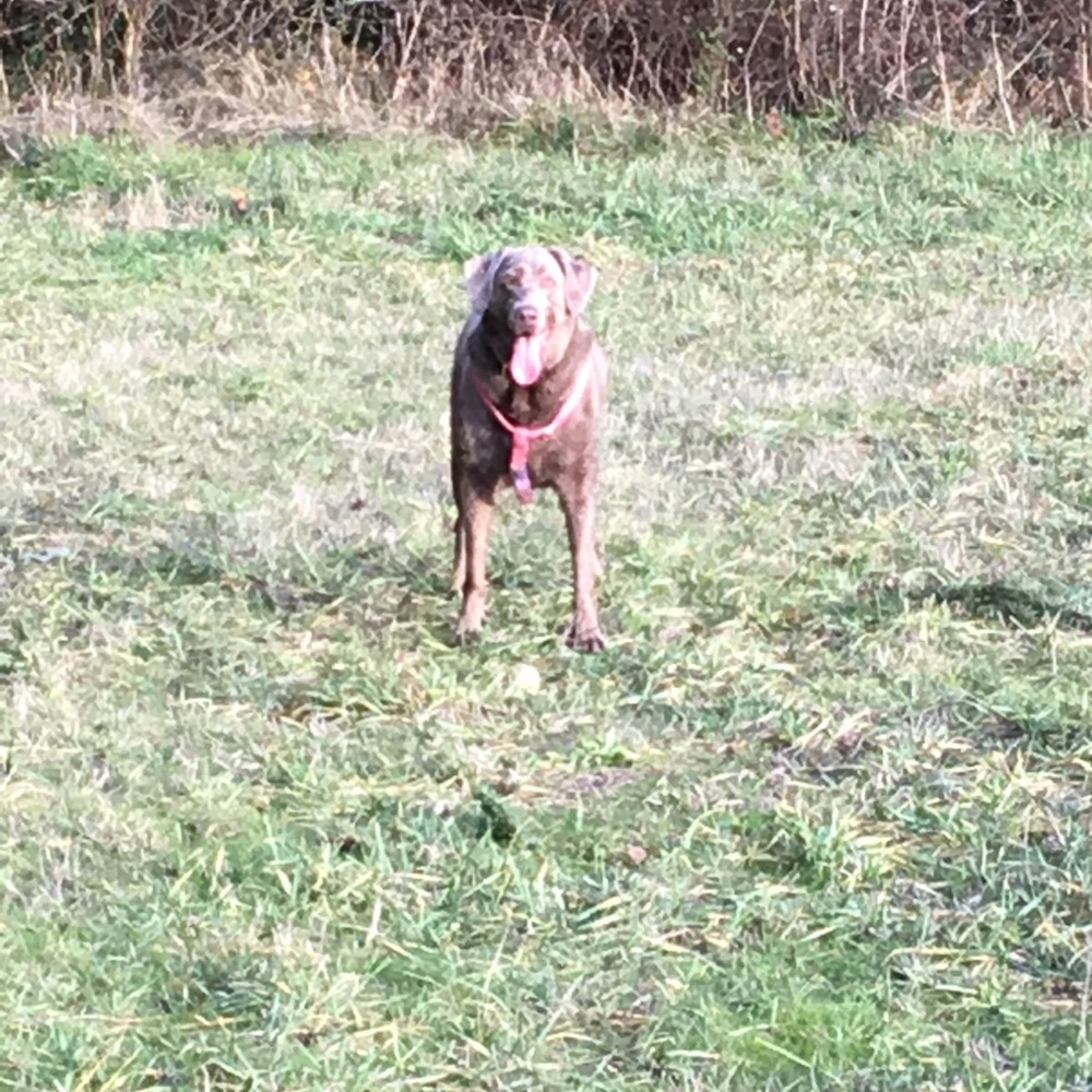 Meet your Posher, Sean